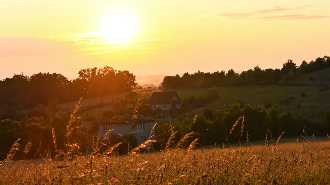 Sonnenuntergang über einer hügeligen Landschaft mit hohen Gräsern im Vordergrund