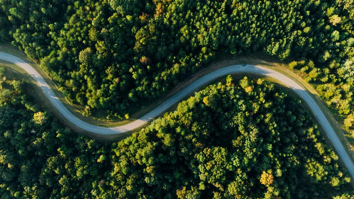Luftaufnahme einer Straße, die sich durch einen dichten Wald schlängelt