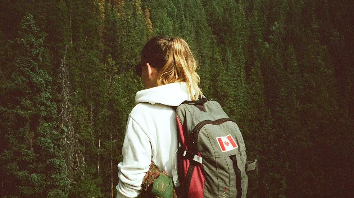 Person mit Rucksack blickt auf einen dichten Nadelwald